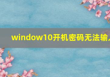 window10开机密码无法输入