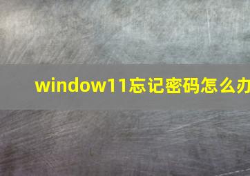 window11忘记密码怎么办