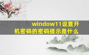 window11设置开机密码的密码提示是什么