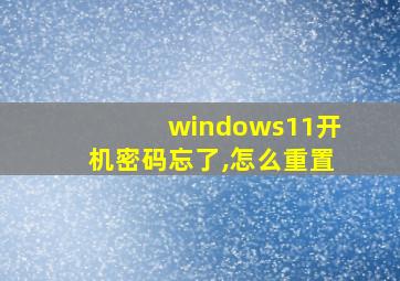 windows11开机密码忘了,怎么重置