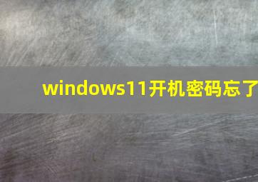 windows11开机密码忘了