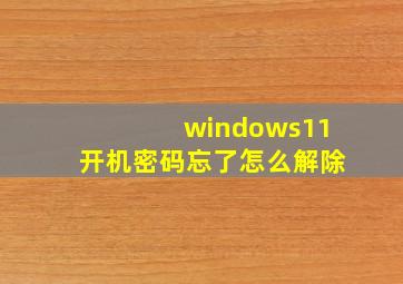 windows11开机密码忘了怎么解除