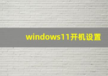 windows11开机设置