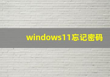 windows11忘记密码