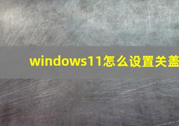 windows11怎么设置关盖