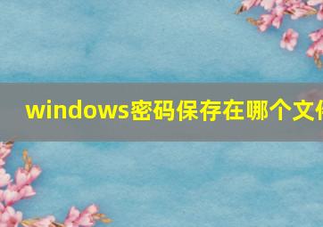 windows密码保存在哪个文件