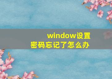 window设置密码忘记了怎么办