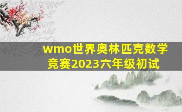 wmo世界奥林匹克数学竞赛2023六年级初试