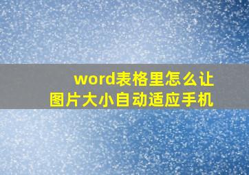 word表格里怎么让图片大小自动适应手机