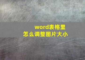 word表格里怎么调整图片大小