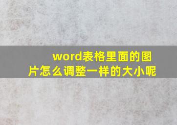 word表格里面的图片怎么调整一样的大小呢