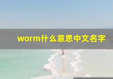 worm什么意思中文名字