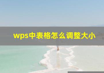 wps中表格怎么调整大小