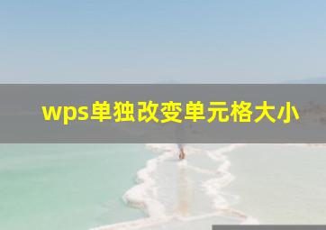 wps单独改变单元格大小