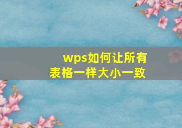 wps如何让所有表格一样大小一致