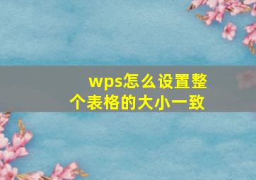 wps怎么设置整个表格的大小一致