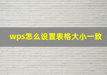 wps怎么设置表格大小一致