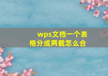 wps文档一个表格分成两截怎么合