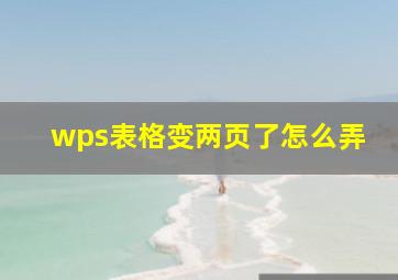 wps表格变两页了怎么弄