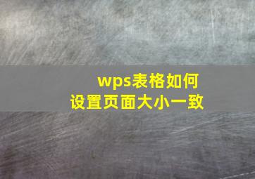 wps表格如何设置页面大小一致