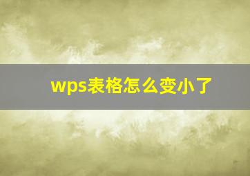 wps表格怎么变小了