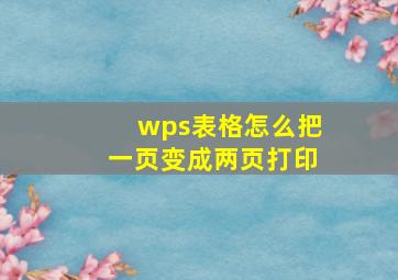 wps表格怎么把一页变成两页打印