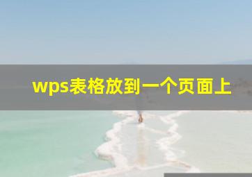 wps表格放到一个页面上