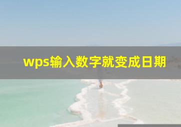 wps输入数字就变成日期