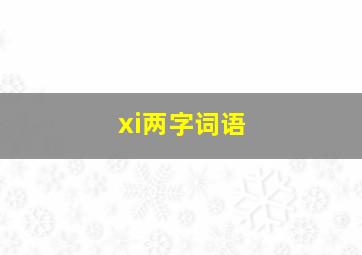 xi两字词语