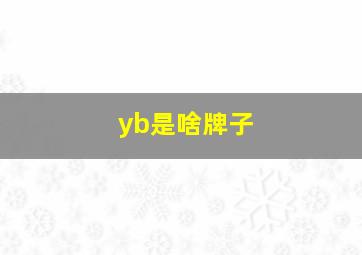 yb是啥牌子