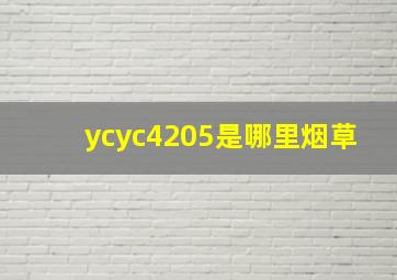 ycyc4205是哪里烟草