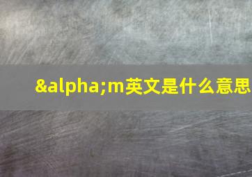 αm英文是什么意思