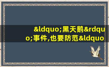 “黑天鹅”事件,也要防范“灰犀牛”事件