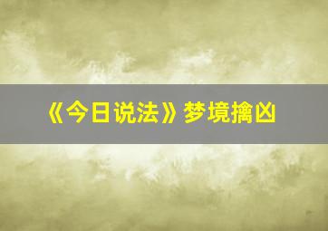 《今日说法》梦境擒凶