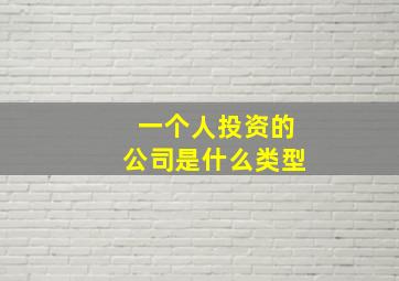 一个人投资的公司是什么类型