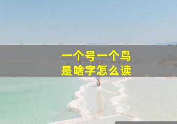 一个号一个鸟是啥字怎么读