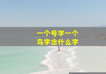 一个号字一个鸟字念什么字