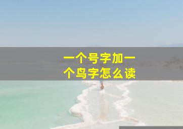 一个号字加一个鸟字怎么读