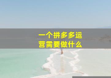 一个拼多多运营需要做什么