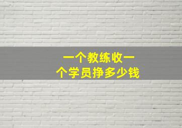 一个教练收一个学员挣多少钱