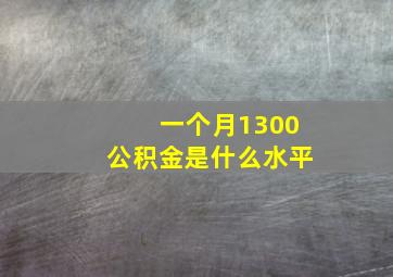 一个月1300公积金是什么水平