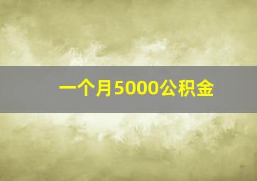 一个月5000公积金