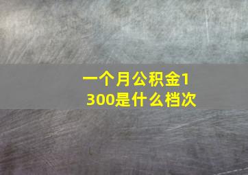 一个月公积金1300是什么档次