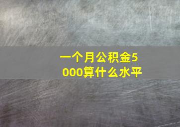 一个月公积金5000算什么水平