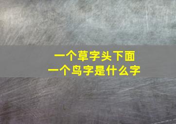 一个草字头下面一个鸟字是什么字