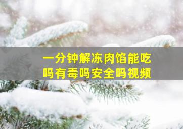 一分钟解冻肉馅能吃吗有毒吗安全吗视频