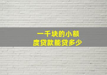 一千块的小额度贷款能贷多少