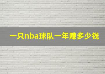 一只nba球队一年赚多少钱