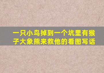 一只小鸟掉到一个坑里有猴子大象熊来救他的看图写话