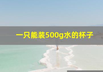 一只能装500g水的杯子